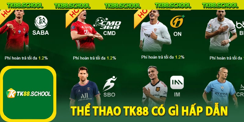 Cá cược thể thao TK88 có gì hấp dẫn